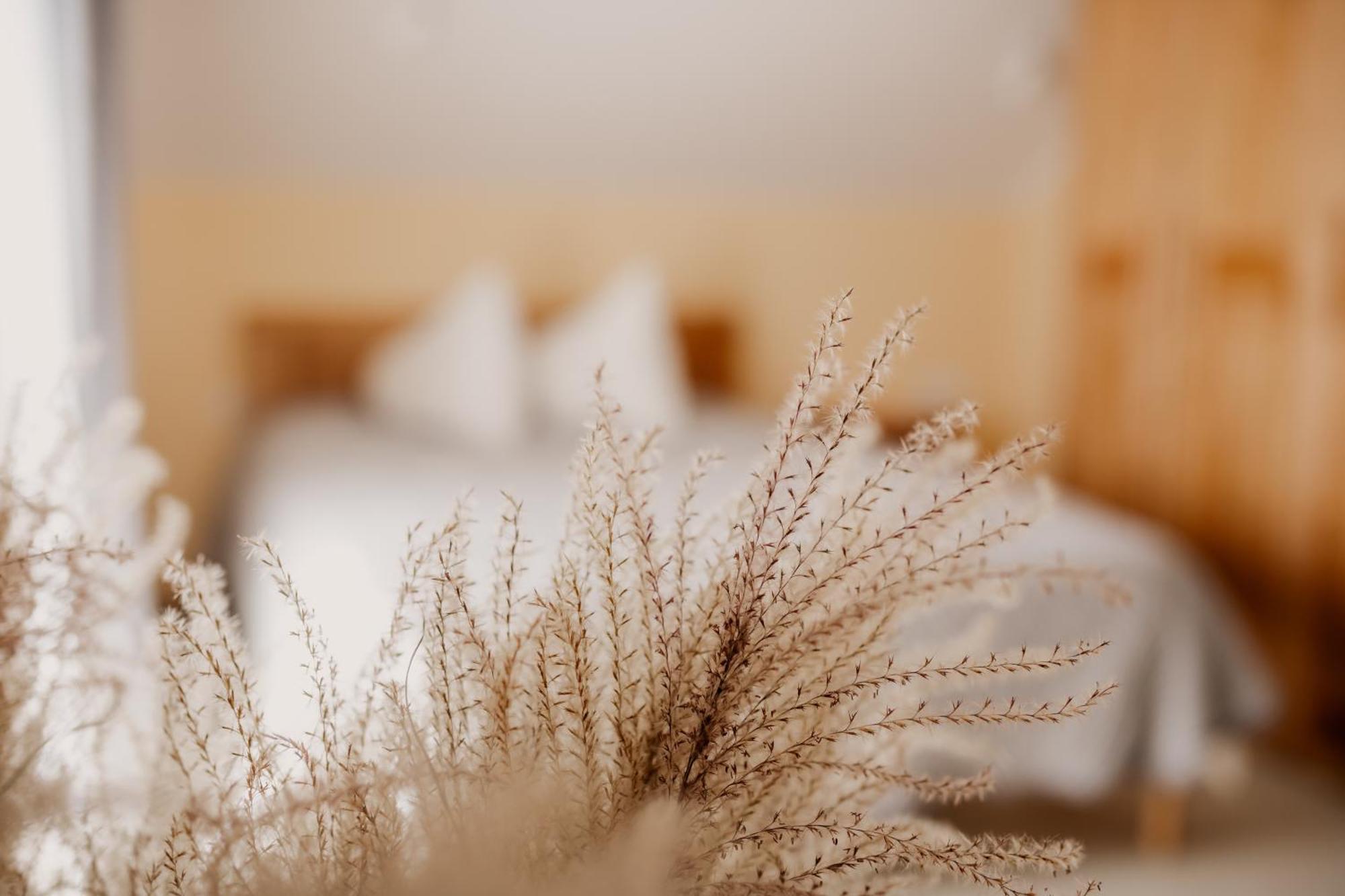 Saules Iela 2A Aparthotel Saldus Δωμάτιο φωτογραφία